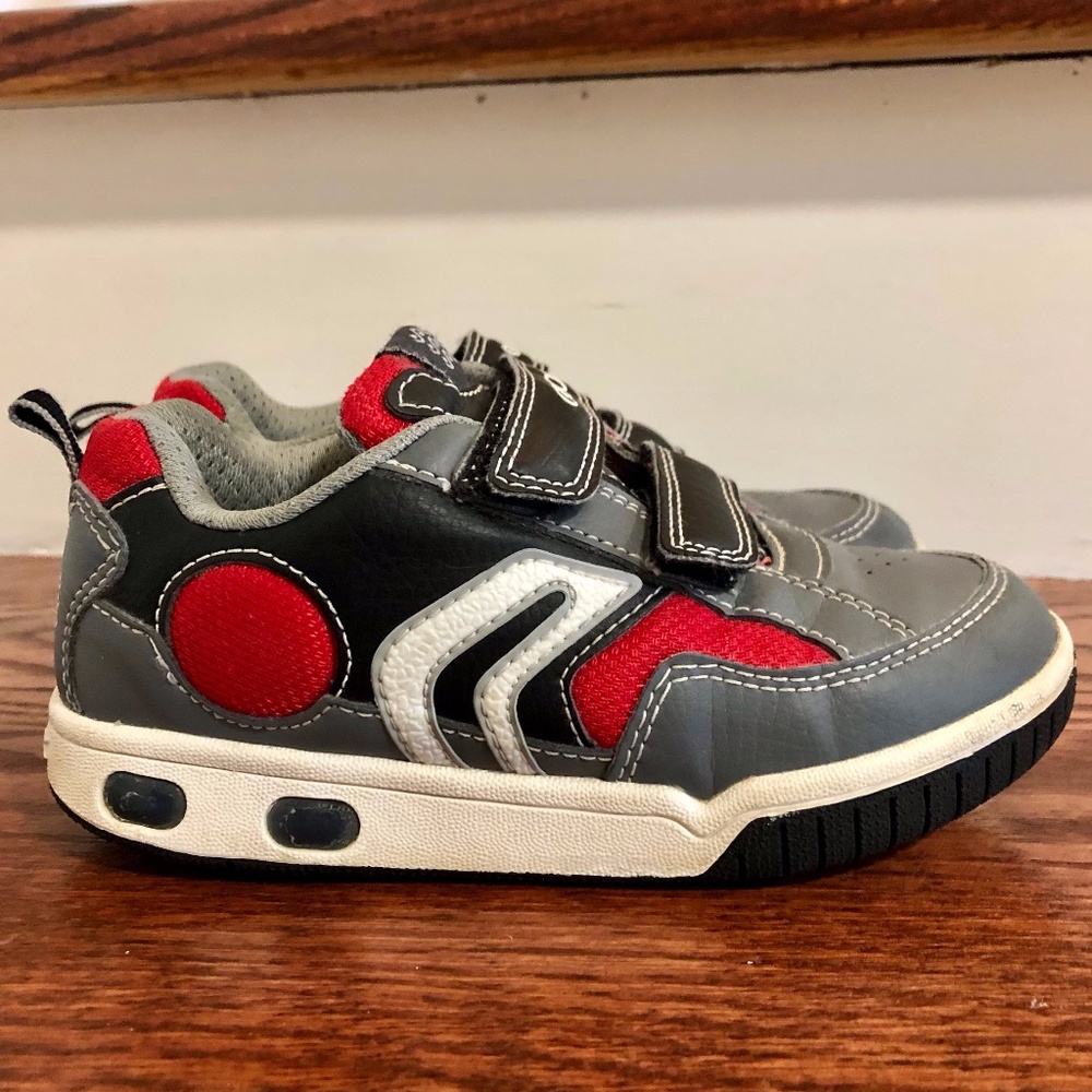 Geox Sneakers